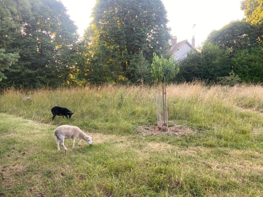 Willa Le Colombage, Jolie Longere Pres De Giverny Eure Hardencourt-Cocherel Zewnętrze zdjęcie